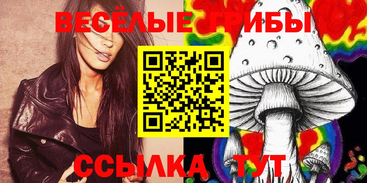 Галлюциногенные грибы Psilocybe  Вход с VPN  Выкса 